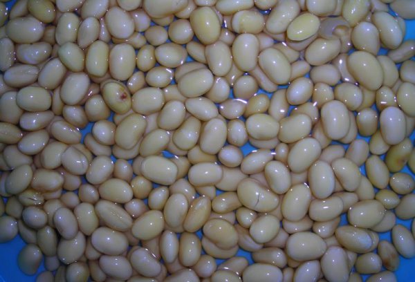 发豆芽用什么容器最好