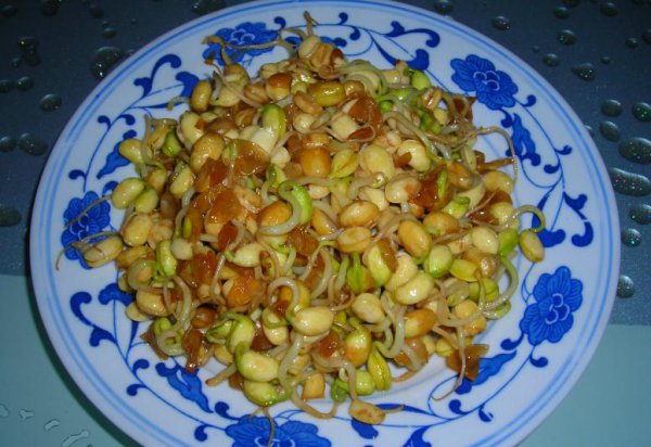 发豆芽用什么容器最好