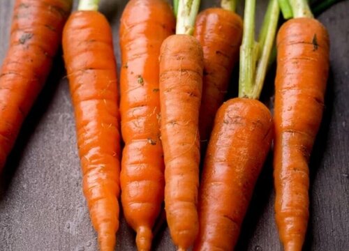 胡萝卜一年四季都有吗