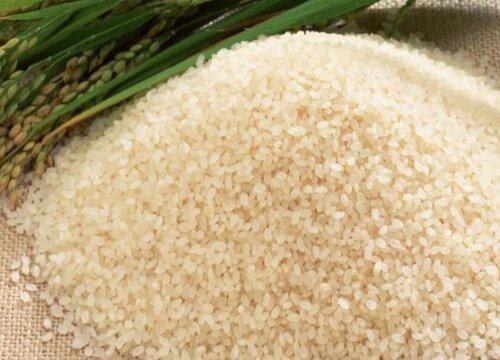 陈大米可以做肥料吗