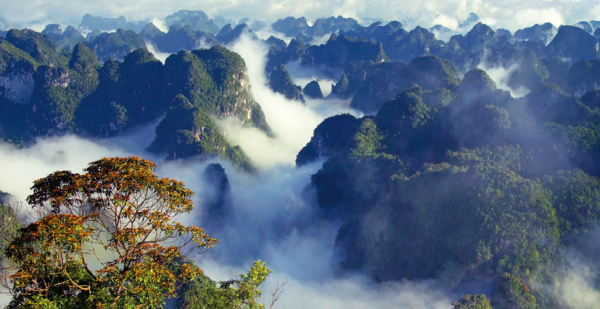 龙州县属于哪个市