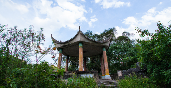 龙州县属于哪个市