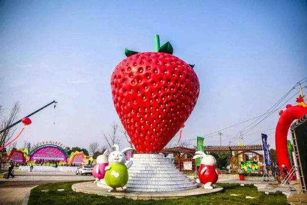 中国十大草莓之乡在什么地方