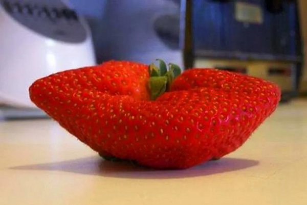 中国十大草莓之乡在什么地方