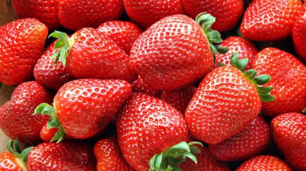 中国十大草莓之乡在什么地方