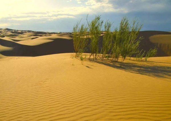 好看又很接近现实生活的小说