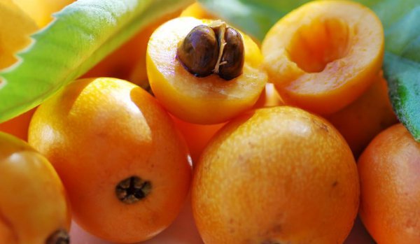 枇杷为什么这么贵