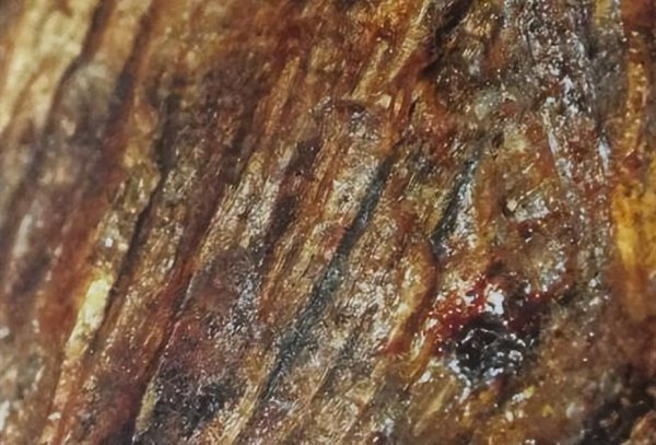 世界沉香产地排名