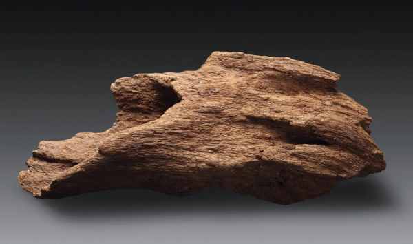 世界沉香产地排名