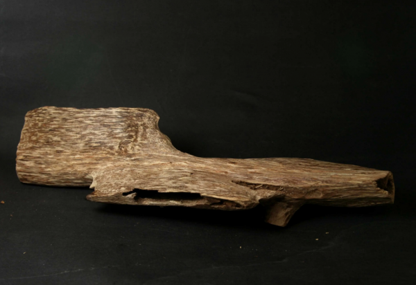 世界沉香产地排名