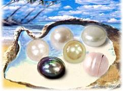 珍珠是怎么形成的