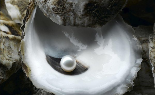 珍珠是怎么形成的