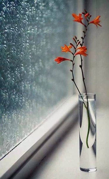 放不下就是缘分未尽