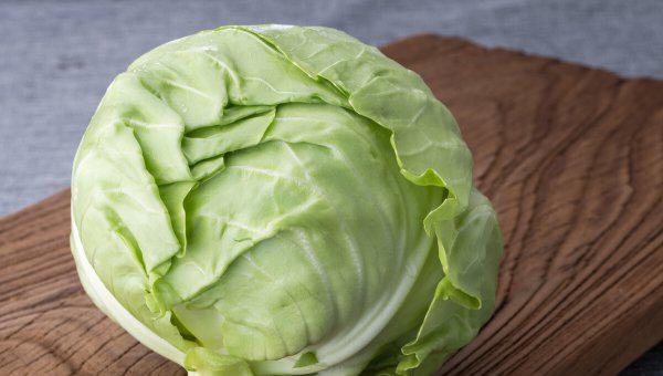 包菜适合什么季节种植