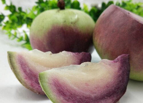 对叶榕果实怎么吃