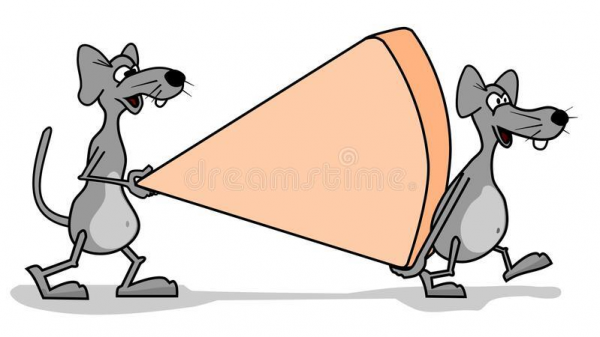 目前最好的灭鼠方法