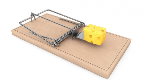 目前最好的灭鼠方法