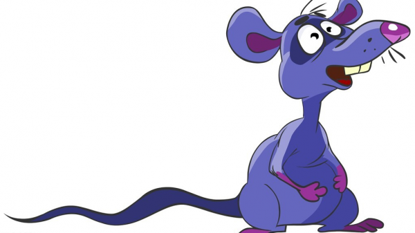 目前最好的灭鼠方法