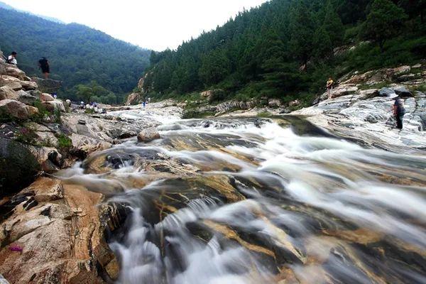 关于泰山的资料