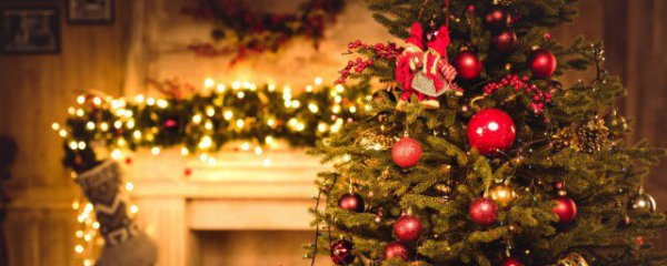 12月24日是什么日子