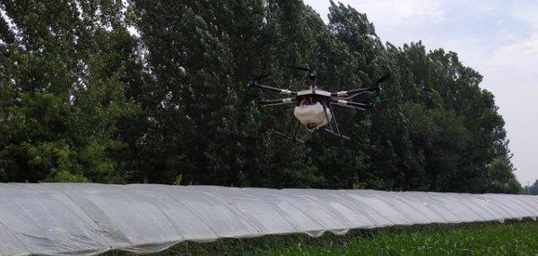 玉米螟用什么药效果最好