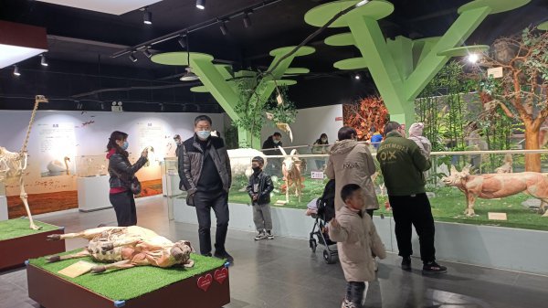 河南郑州旅游景点排名