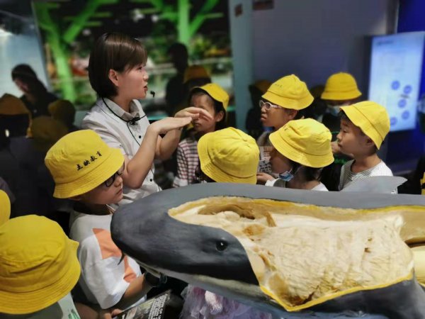 河南郑州旅游景点排名