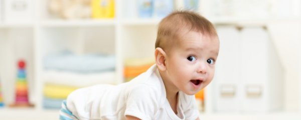 男属虎女属马适合什么生肖宝宝