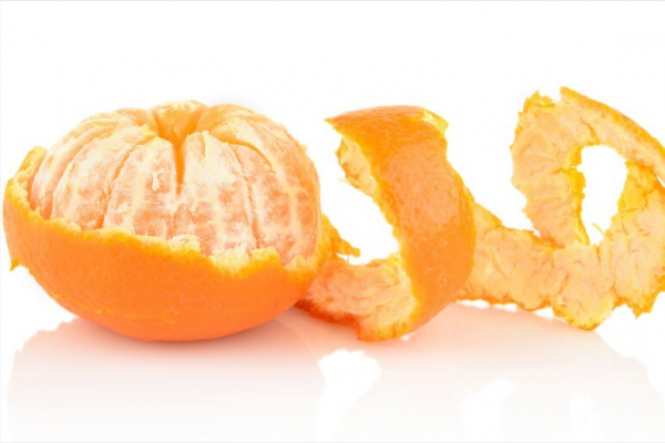 狗有跳蚤怎么办能除根