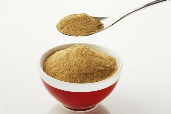 狗有跳蚤怎么办能除根