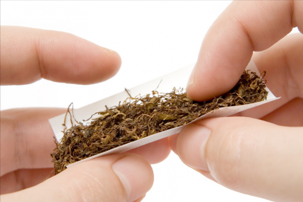 狗有跳蚤怎么办能除根