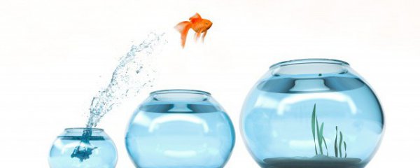 鱼缸里放什么摆件招财聚财