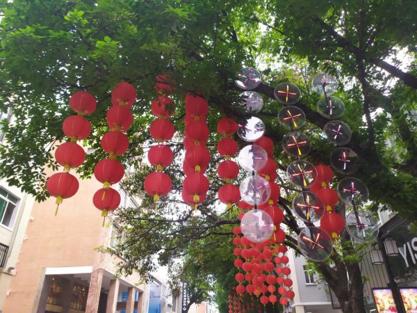 广州上下九步行街在哪个区