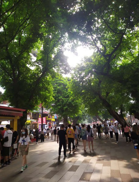 广州上下九步行街在哪个区