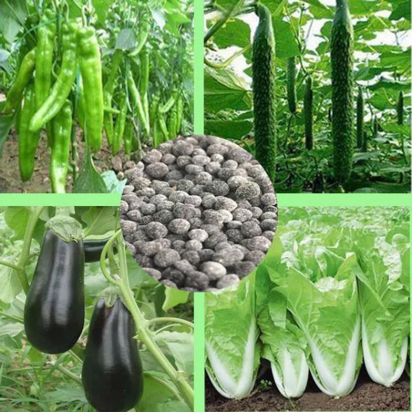 微生物菌肥什么时候用最好