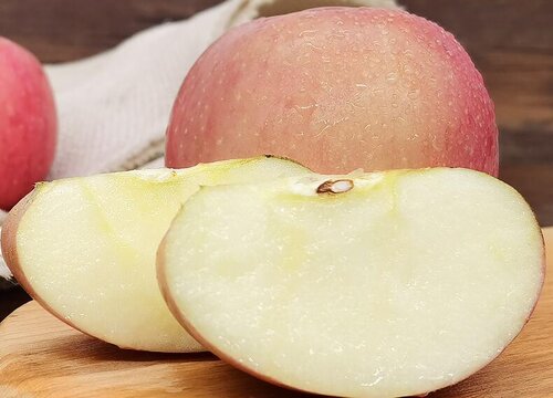 仓鼠可以吃苹果吗