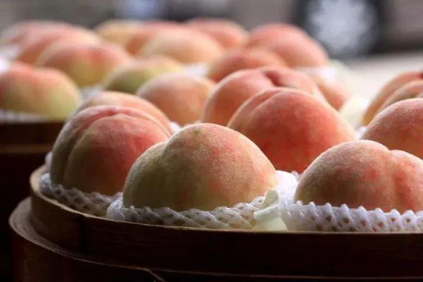 无锡特产有哪些