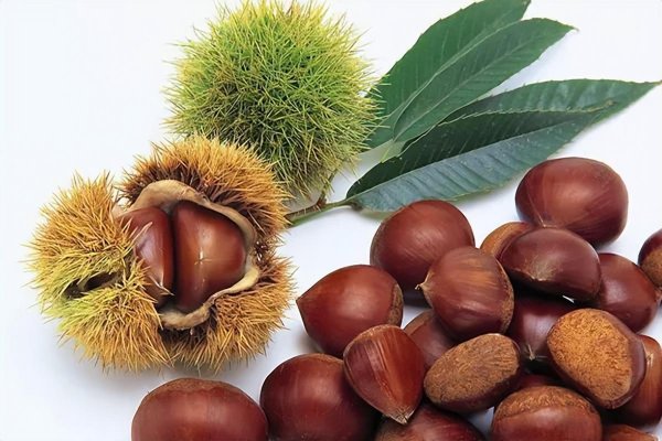 无锡特产有哪些