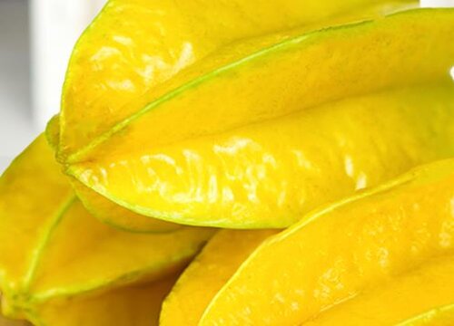 杨桃是热带水果吗