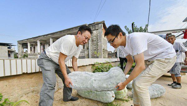 村干部正式纳入编制是真的吗