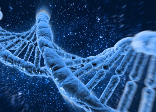 植物的遗传密码可以修改吗