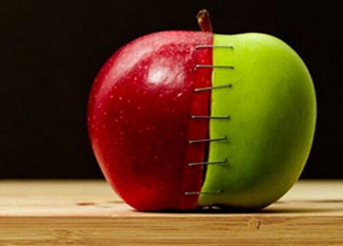 植物的遗传密码可以修改吗