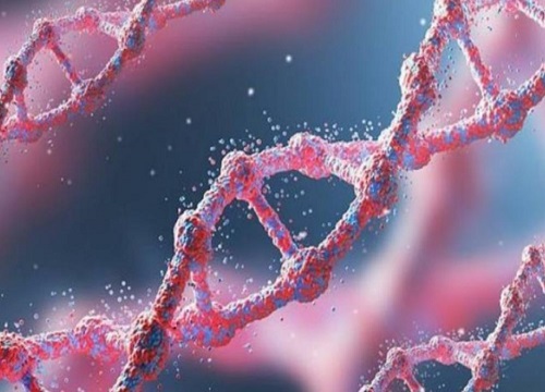 植物的遗传密码可以修改吗