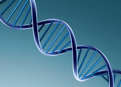 植物的遗传密码可以修改吗