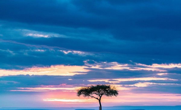 天秤座喜欢什么星座