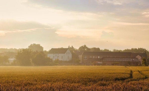 天秤座喜欢什么星座