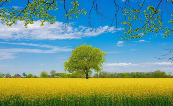 天秤座喜欢什么星座