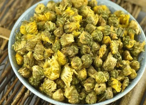 贡菊和胎菊的区别