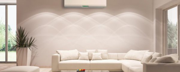 客厅里适合养什么植物