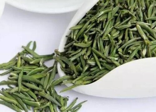 雀舌茶属于什么茶